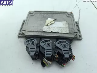 9647494880 Блок управления двигателем (ДВС) Peugeot 307 Арт 54692876