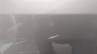 1T0833056S Дверь задняя правая серая Volkswagen Touran 2 Арт 9467824, вид 3