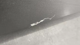 5C6831056B Дверь передняя правая серая Volkswagen Jetta 6 Арт 20338833, вид 4