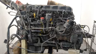 2419496 Маслоотделитель (сапун) DAF XF 106 Арт 11414151, вид 1