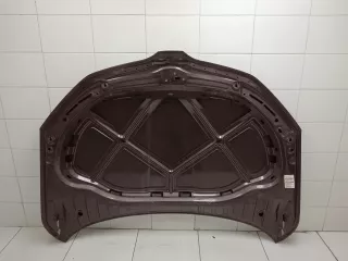 5e0823031b Капот Skoda Octavia A7 Арт BBBs250215104, вид 13