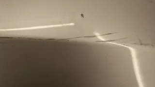 41617168514,7168514 Капот серебристый BMW 3 E90/E91/E92/E93 Арт 20409680, вид 4