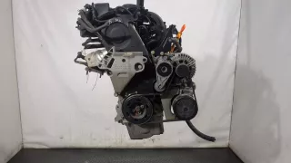 06A100043P,06A100098LX,BSE Двигатель Seat Leon 2 Арт 20263977, вид 1