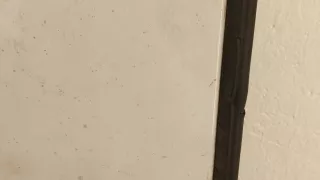  Подсветка номера Ford Transit 3 restailing Арт 11415953, вид 2