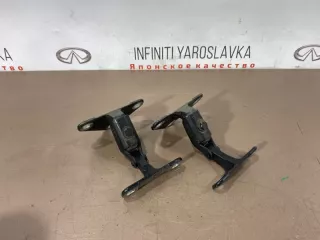 41627170921 Петля крышки багажника BMW X5 E70 Арт 2-36453, вид 1