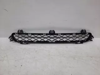 51117210466 Заглушка (решетка) в бампер BMW X3 F25 Арт 2-48718, вид 1
