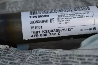 4F5880742B Подушка безопасности Audi A6 C6 (S6,RS6) Арт 2-58286, вид 3