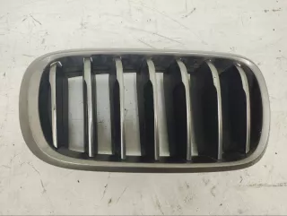 51137349388 Решетка радиатора BMW X6 F16 Арт 2-70660, вид 1