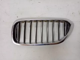 51137390865 Решетка радиатора BMW 5 G30/G31 Арт 2-78614, вид 1