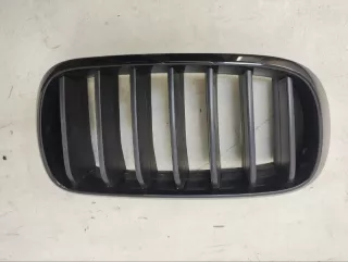 7316076 Решетка радиатора BMW X5 F15 Арт 2-79888, вид 1