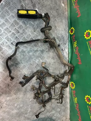 96643246 Проводка двигателя Daewoo Matiz M250 restailing Арт 2-85219, вид 1