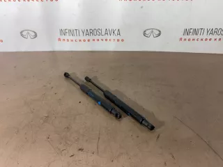 844301MA0A Амортизаторы багажника Infiniti M (Y50) Арт 2-131766, вид 10
