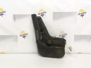 1824111 Брызговик Ford Focus 1 Арт 2-141060, вид 1
