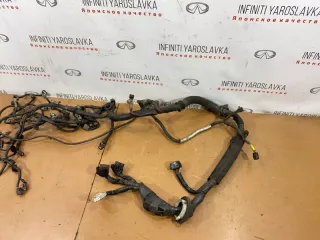 240111CA0A Проводка двигателя Infiniti FX2 Арт 2-141574, вид 2