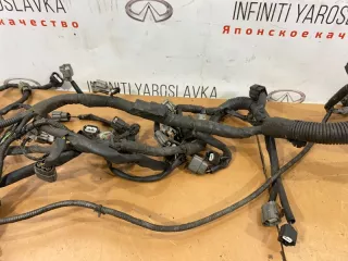 240111CA0A Проводка двигателя Infiniti FX2 Арт 2-141574, вид 7