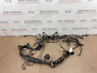 240111BP0B Проводка двигателя Infiniti EX Арт 2-146370, вид 1