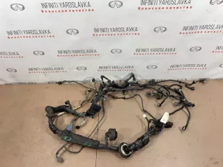 240111BP0B Проводка двигателя Infiniti EX Арт 2-146370, вид 2