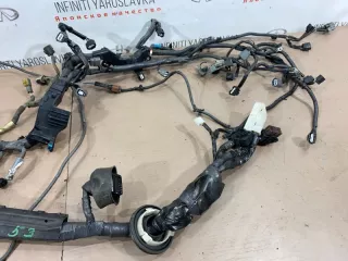240111BP0B Проводка двигателя Infiniti EX Арт 2-146370, вид 4