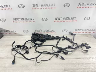 24010HG02L Проводка двигателя Infiniti Q50 2.0л Арт 2-158303, вид 1