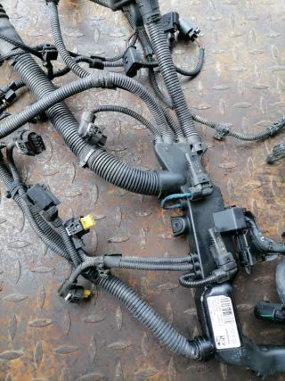 12518516259 Жгут проводов двигатель/модуль двигателя BMW 3 F30/F31/GT F34 2.0л Арт 2-161982, вид 2