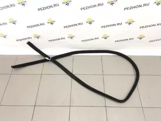 821103N000RY Уплотнитель Hyundai Equus 2 Арт 2-300384, вид 1