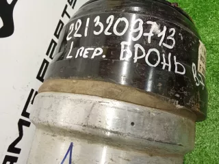A2213209713 Амортизатор Mercedes S W221 Арт 2-301037, вид 13