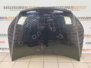 5N0823031D Капот Volkswagen Tiguan 1 Арт 2-333739, вид 1