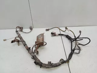 LS000031506 Проводка аккумулятора Haima 3 Арт 2-333879