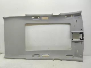 5NA867501QRN3 Обивка потолка Volkswagen Tiguan 2 Арт 2-386291, вид 1