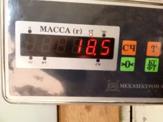 9004Q1 Дверь передняя правая Peugeot 406 Арт 2-421417, вид 15