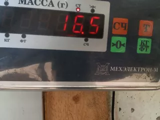 MR789779 Сиденье переднее Mitsubishi Colt 5 Арт 2-529691, вид 10