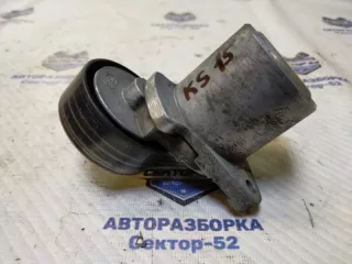 2528127000 Ролик натяжной Kia Sportage 2 Арт 2-591044, вид 1