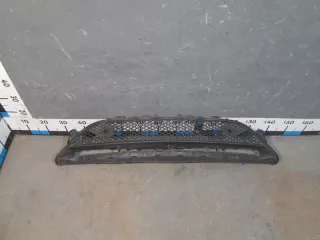 A2138856900 Решетка в бампер центральная Mercedes E W213 Арт 2-631247, вид 1