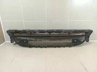 A2138856900 Решетка в бампер центральная Mercedes E W213 Арт 2-631269, вид 1