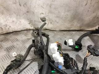8212148160 Проводка двс Lexus RX 2 3.0л Арт 2-648801, вид 12