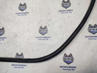 831102E000DD Уплотнитель Hyundai Tucson 1 Арт 2-676985, вид 5