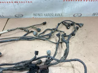 240111BP0B Проводка двигателя Infiniti EX Арт 2-690730, вид 7