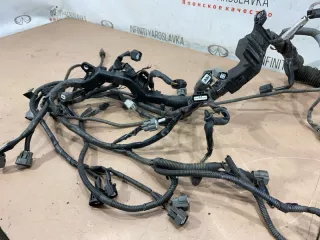 240111BP0A Проводка двигателя Infiniti EX Арт 2-690732, вид 16