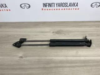 654701BA0A Амортизаторы багажника Infiniti EX Арт 2-695453, вид 1