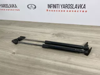 654701BA0A Амортизаторы багажника Infiniti EX Арт 2-695453, вид 3