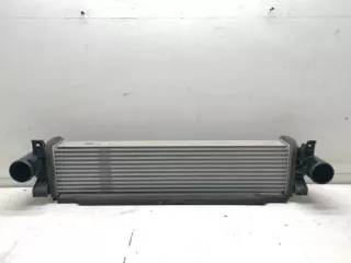 302000800AA Интеркулер EXEED RX Арт 2-715329, вид 1