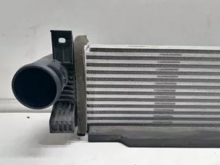 302000800AA Интеркулер EXEED RX Арт 2-715329, вид 2