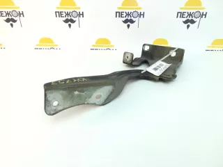 654004EA0A Петля капота Nissan Qashqai 2 Арт 2-730381, вид 4