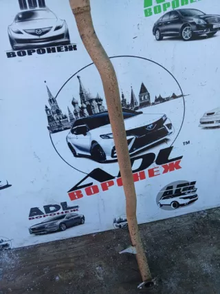  Резонатор Mitsubishi Outlander 3 Арт 2-742158, вид 4