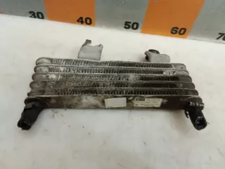 2546039500 Радиатор АКПП Kia Magentis MS Арт 2-745115, вид 5
