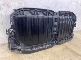 24548958094566 Решетка радиатора BMW X7 g07 Арт 2-764911, вид 7