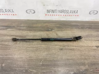 904501BA0B Амортизатор крышки багажника (3-5 двери) Infiniti EX Арт 2-781505, вид 1
