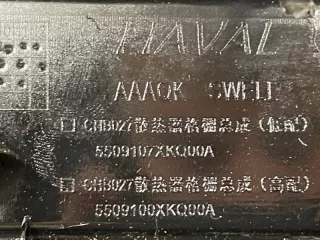 5509107XKQ00A Решетка радиатора Haval F7 Арт 2-807916, вид 10