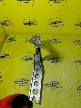 1Z0823302C Петля капота Skoda Octavia A4 Арт 2-812348, вид 3