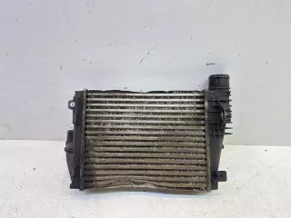 9806562180 Интеркулер Citroen jumpy 3 Арт 2-813869, вид 1
